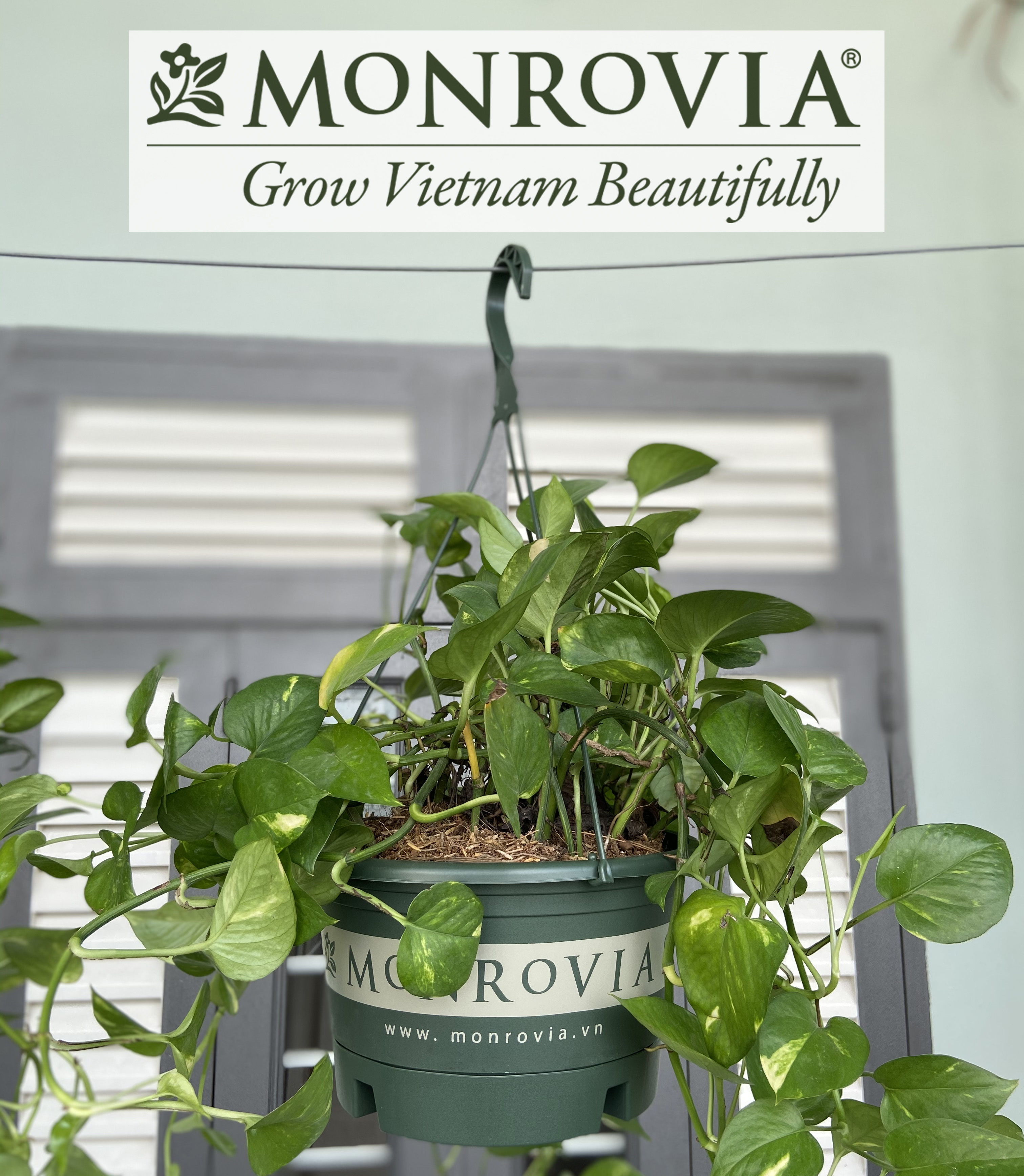 3 Chậu treo trồng cây MONROVIA Size S, Dòng T-series, chậu nhựa treo trang trí, trồng cây cảnh ban công, chậu trồng hoa, thiết kế tinh tế, thoát nước tốt, nhựa cao cấp PP, nhập khẩu, tiêu chuẩn Châu Âu