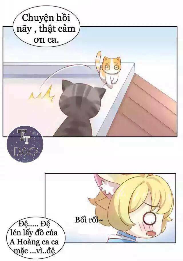 thị hoang chi thần chapter 11 28