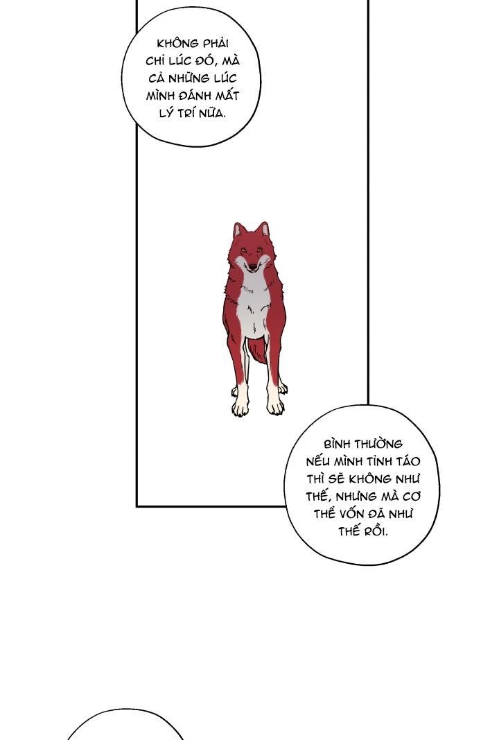 gâu gâu! chapter 12 24