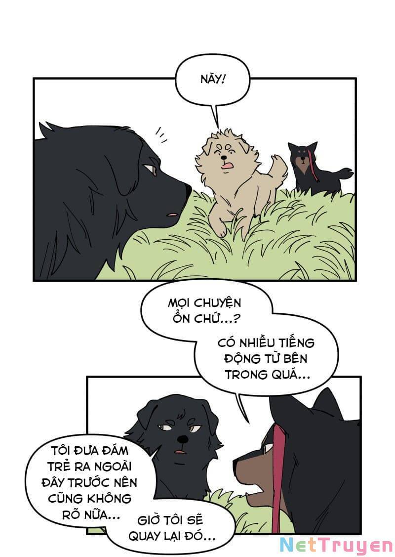 lumine - cội nguồn ánh sáng chapter 163 18