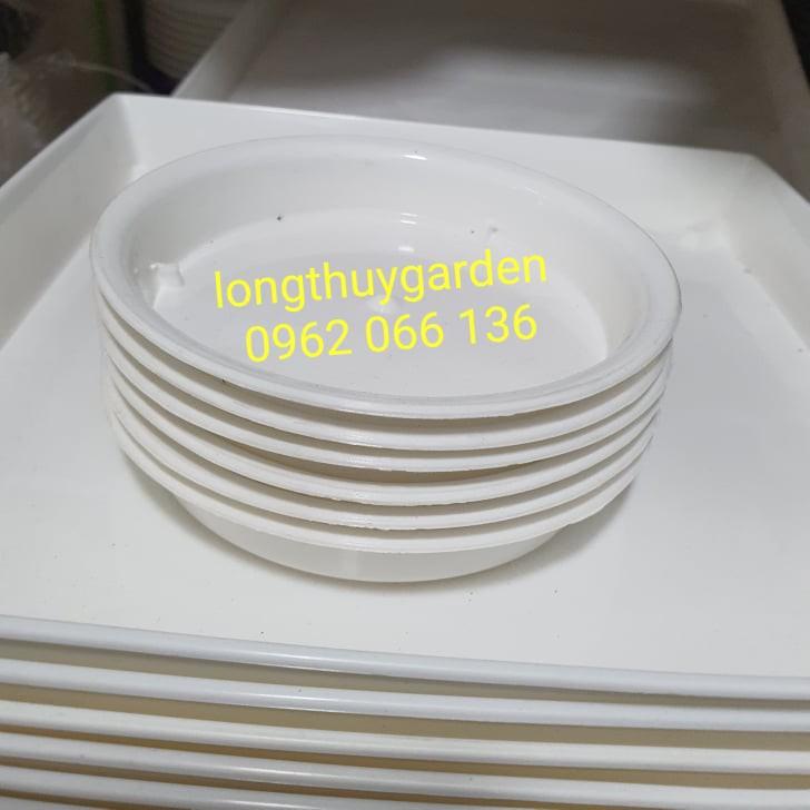 Combo 10 đĩa lót chậu 12cm