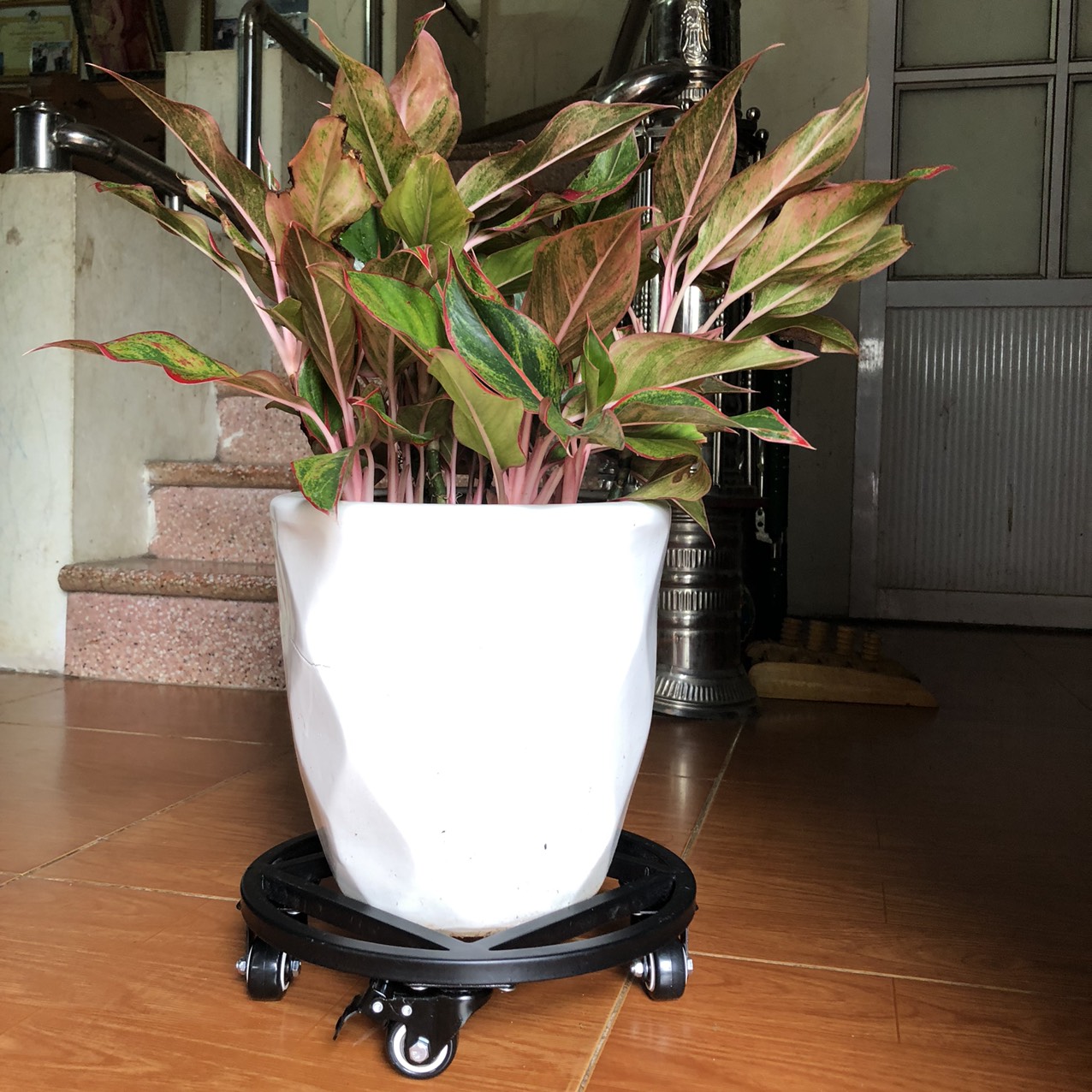 Kệ Để Chậu ĐK25-50cm, Đế Chậu Thông Minh Đa Năng Cao Cấp HTG, Siêu Chắc Khỏe, Có Bánh Xe Di Chuyển, Có Chốt An Toàn, Chịu Lực Đến 400kg, Chất Liệu Hợp Kim Cao Cấp Sơn Tĩnh Điện