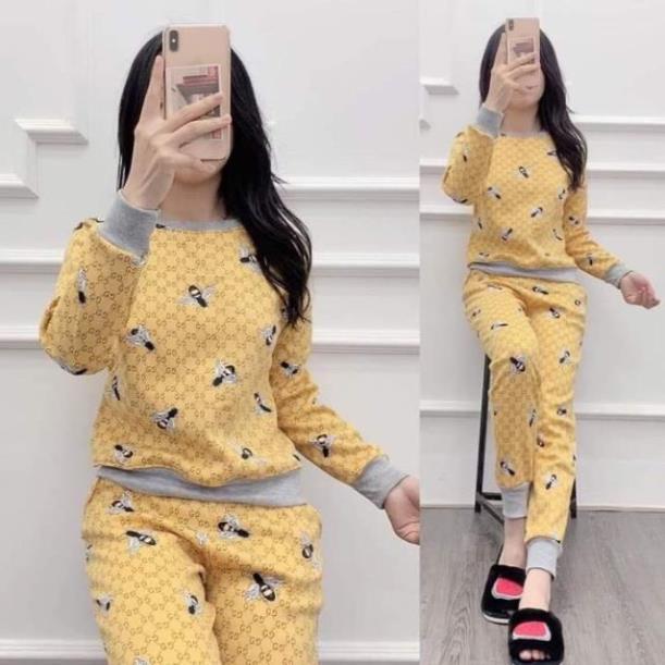 Bộ Nỉ Bông Nữ Nhiều Hòa Tiết Chất Nỉ Lót Lông Qc Dày Dặn