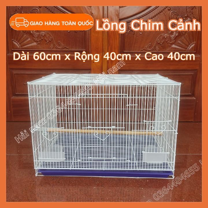 Lồng nuôi Yến Phụng LOẠI 60x40x40cm Lồng nuôi chim cảnh nhỏ