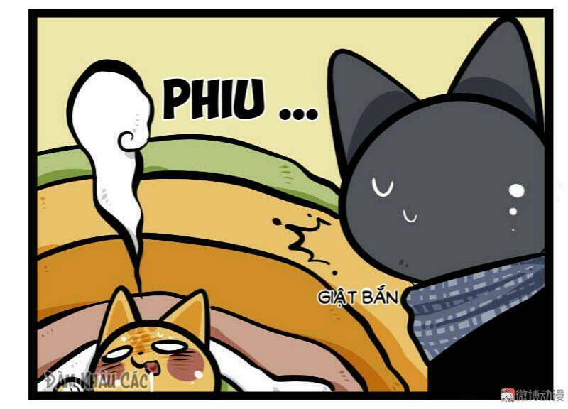 đời không như mình tưởng chapter 57 8