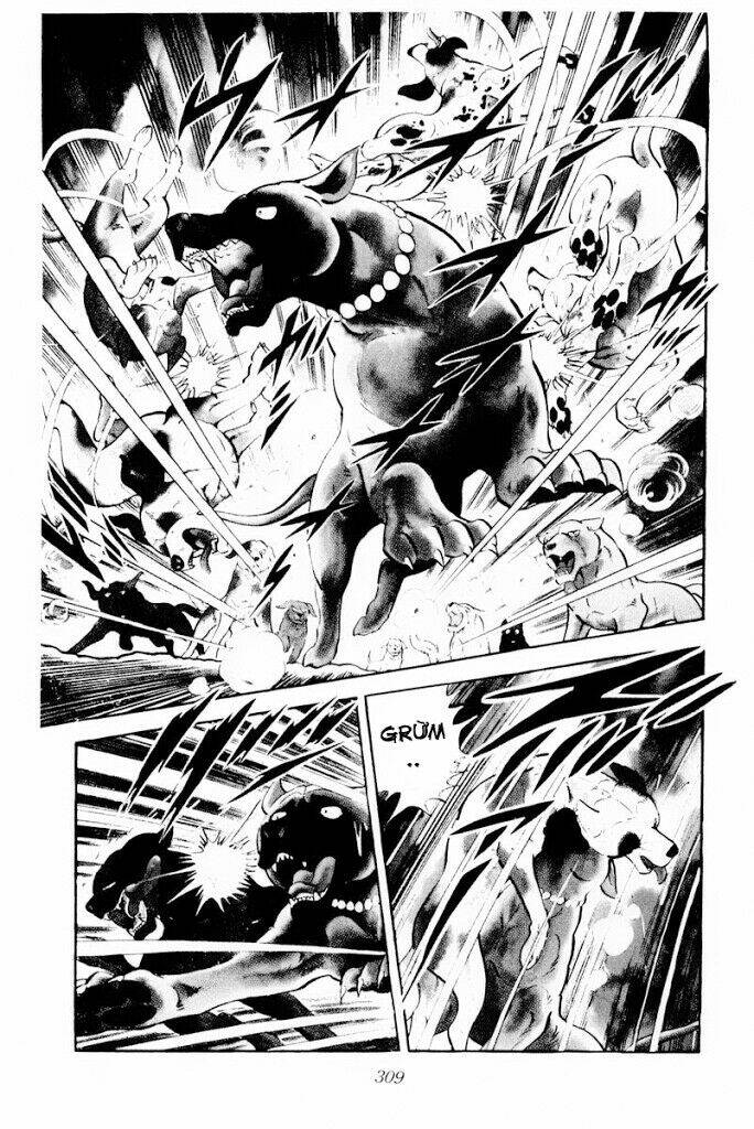 chú chó có nghĩa - ginga nagareboshi gin chapter 30.2 32