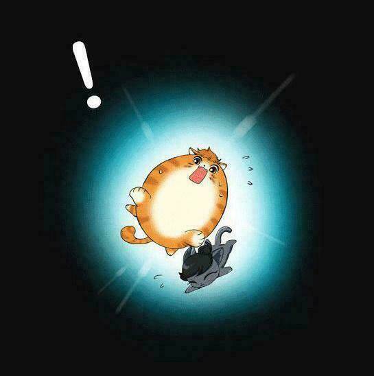 hoàng tử mèo đáng ghét chapter 1 15