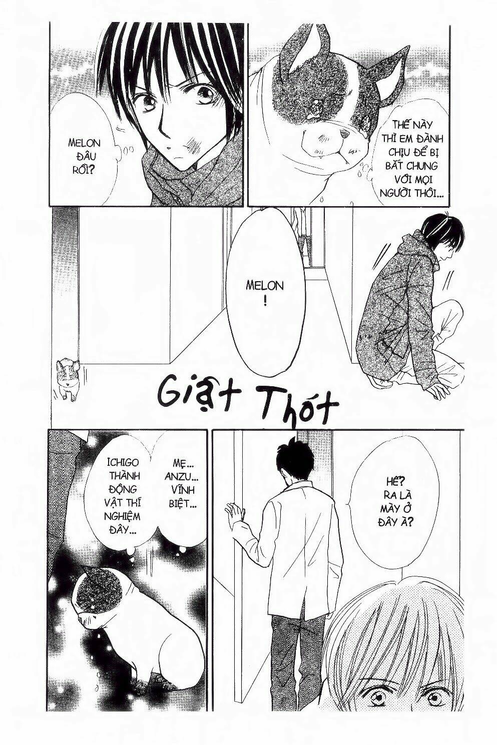 ichigo to anzu chapter 37 15