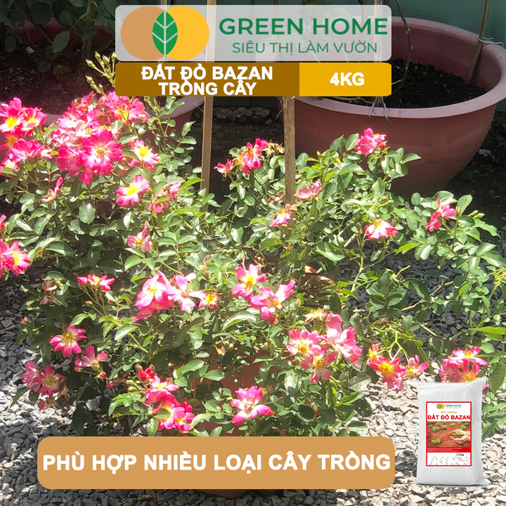 Đất Đỏ Bazan Greenhome, Bao 4Kg, Đất Trồng Cây, Bổ Sung Phân Hữu Cơ, Vi Sinh Trồng Hoa Hồng, Kiểng Lá, Rau