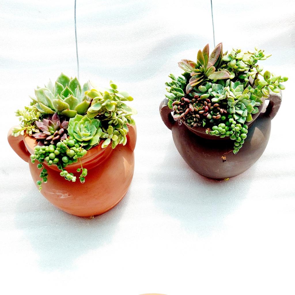 Chậu đất nung Bình Dương - Ốp tường quai - miệng chậu 9cm, chiều cao 17cm