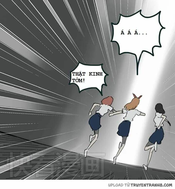 hoa mẫu đơn đen chapter 6 29