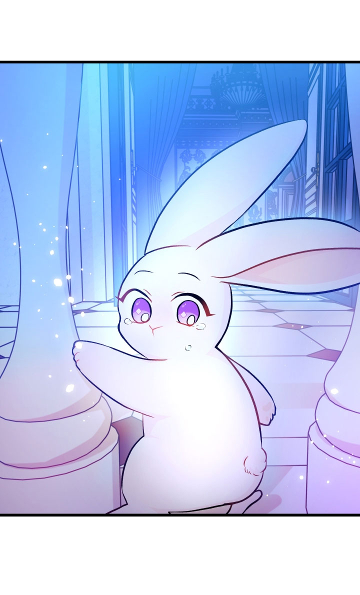 mối liên kết giữa báo đen và bé thỏ chapter 14 17