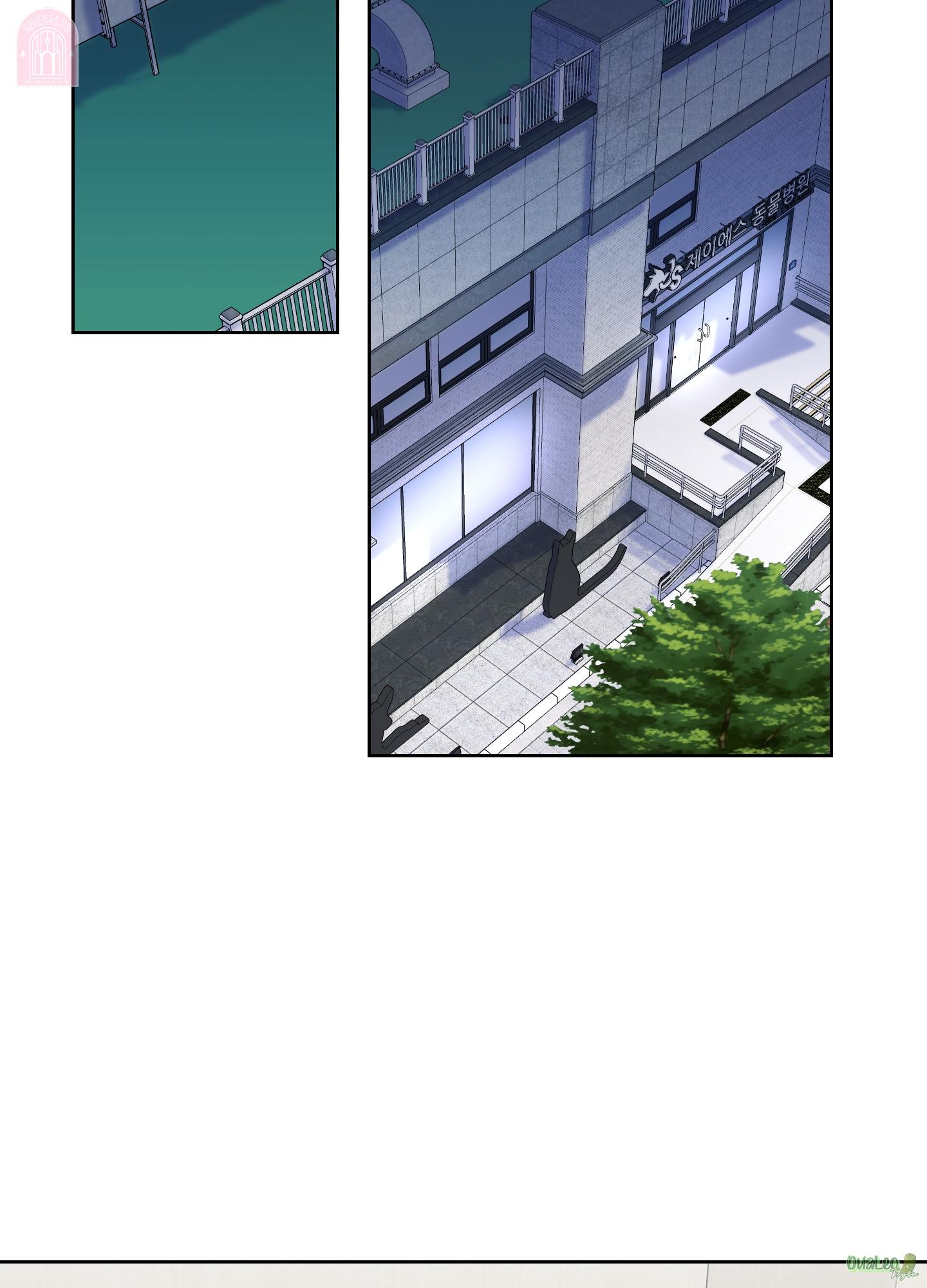 shinsujeon chapter 58 52