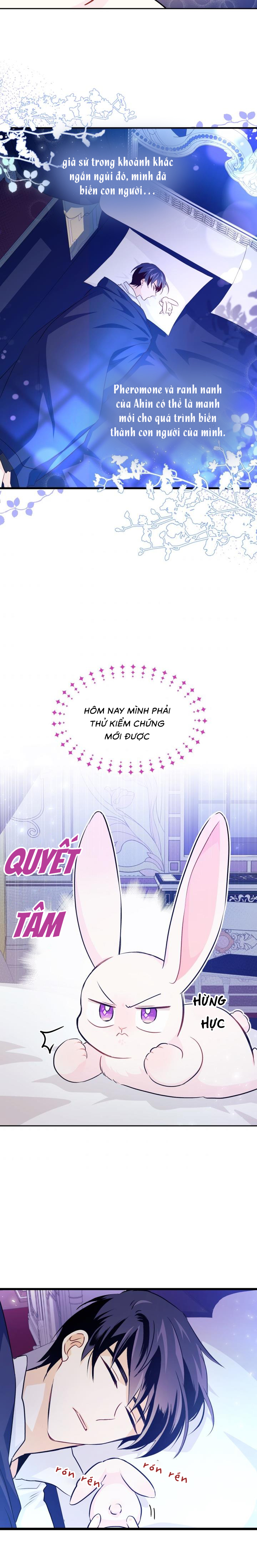 mối liên kết giữa báo đen và bé thỏ chapter 16 12