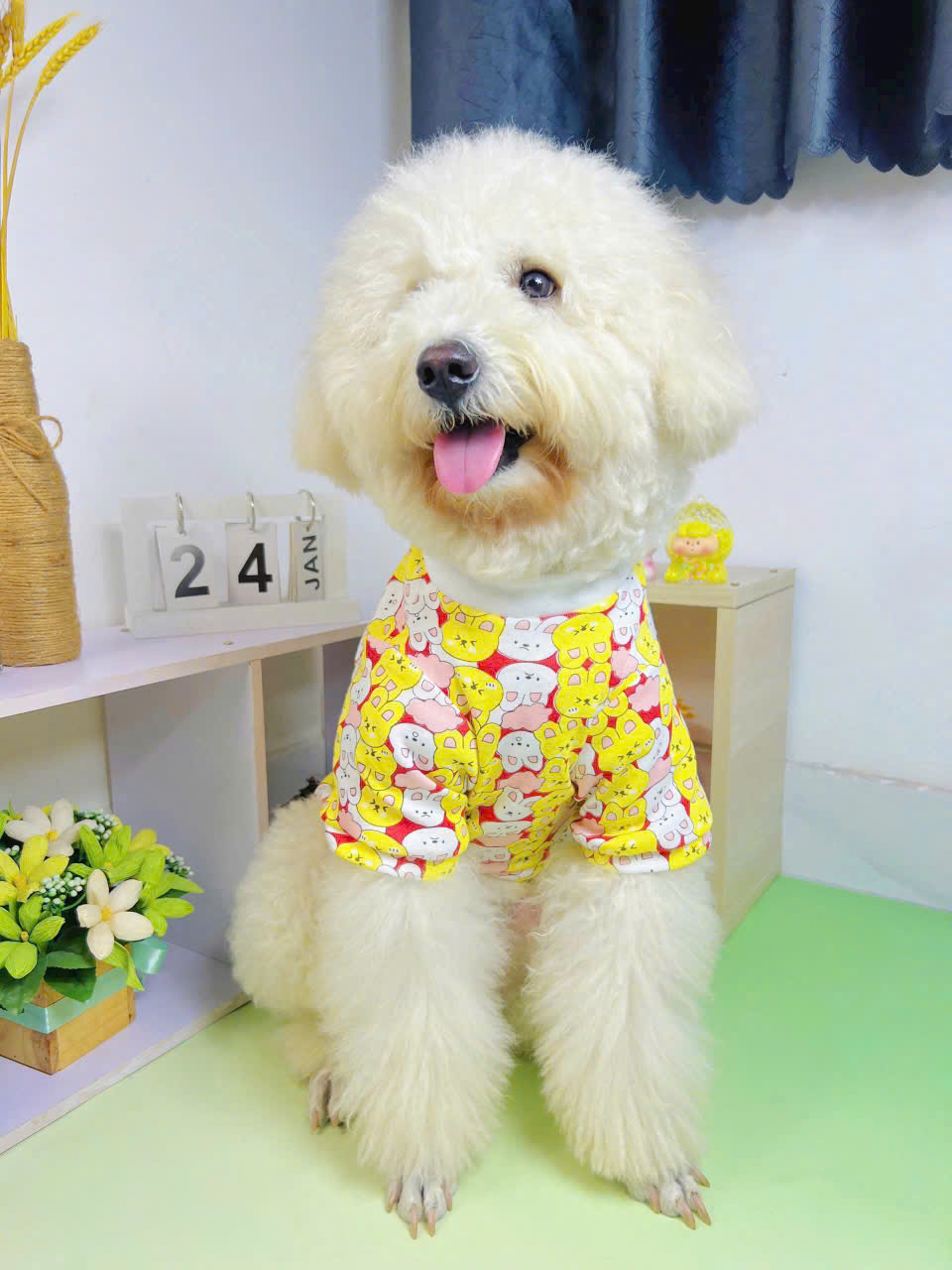 ÁO THỎ DỄ THƯƠNG TỪ 0.5-20KG DÀNH CHO THÚ CƯNG CHÓ MÈO