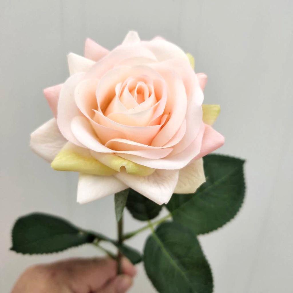 Hoa hồng cánh ẩm - Hoa lụa cao cấp loại 1 giống thật 99% , cánh mềm, có mùi thơm nhẹ