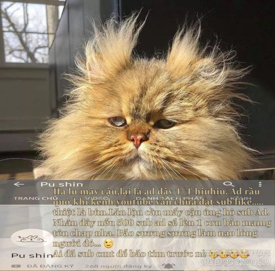 tôi là tiểu thư của gia đình này chapter 26.1 1