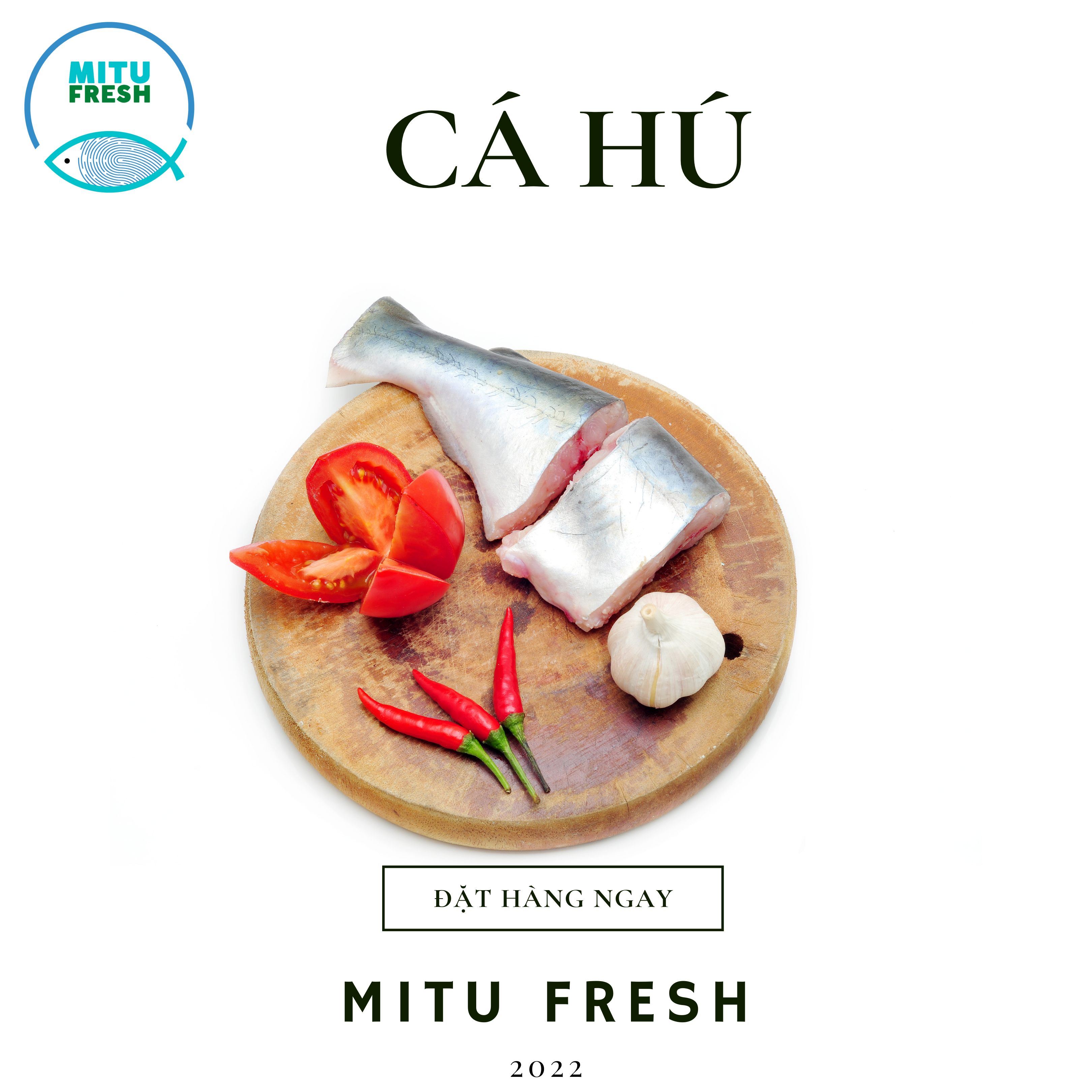 Cá Hú sống ( 0.8-1.3 kg/con)