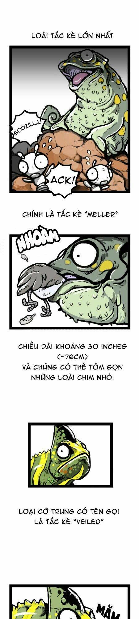 earth, human, and animal chapter 19 9