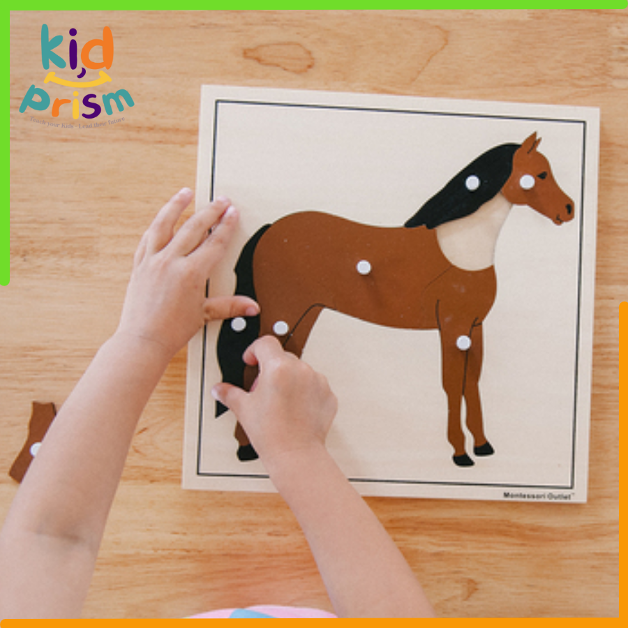 Tranh ghép 3D bằng gỗ giúp bé phát triển tư duy, kích thích trí não level 2-4 tuổi (Giáo cụ Montessori)