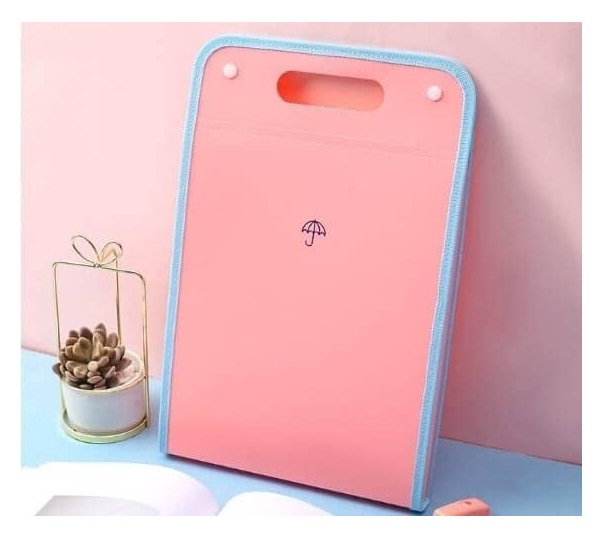 TÚI ĐỰNG GIẤY TỜ, TÀI LIỆU A4 NHIỂU NGĂN TIỆN DỤNG - giao ngẫu nhiên