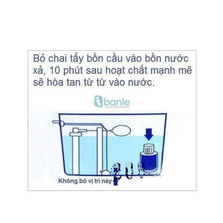 Thả bồn cầu chuẩn hàn quốc