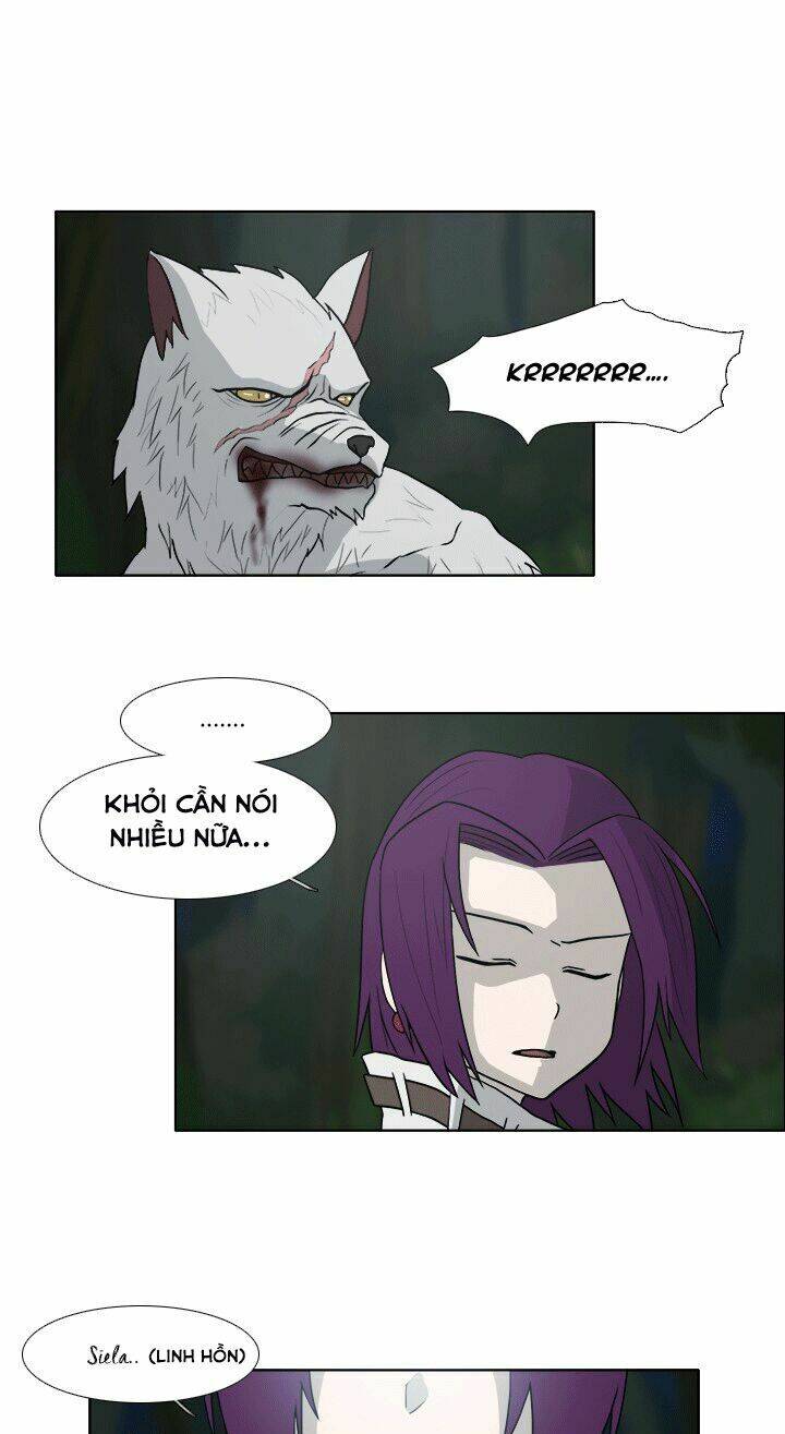 m. m. g. chapter 11 14