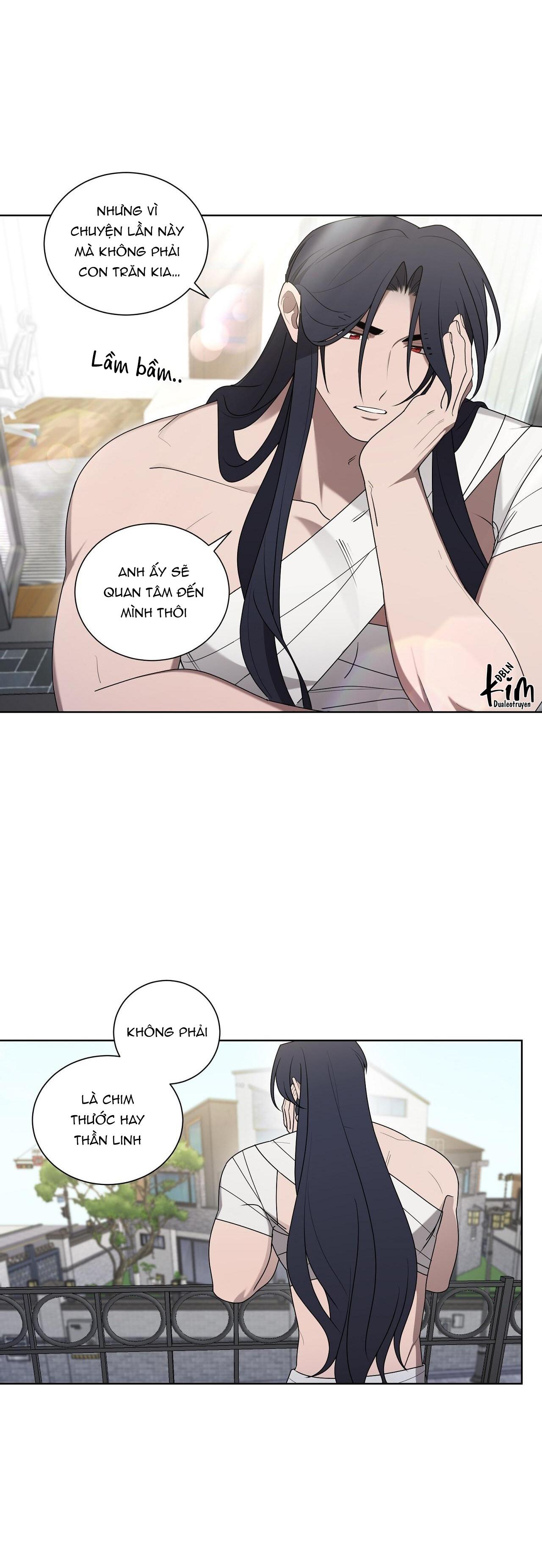 khi chim thước đến chapter 24 41