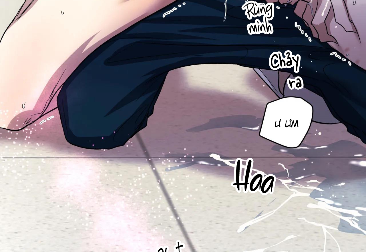 ám ảnh pheromone chapter 38 52