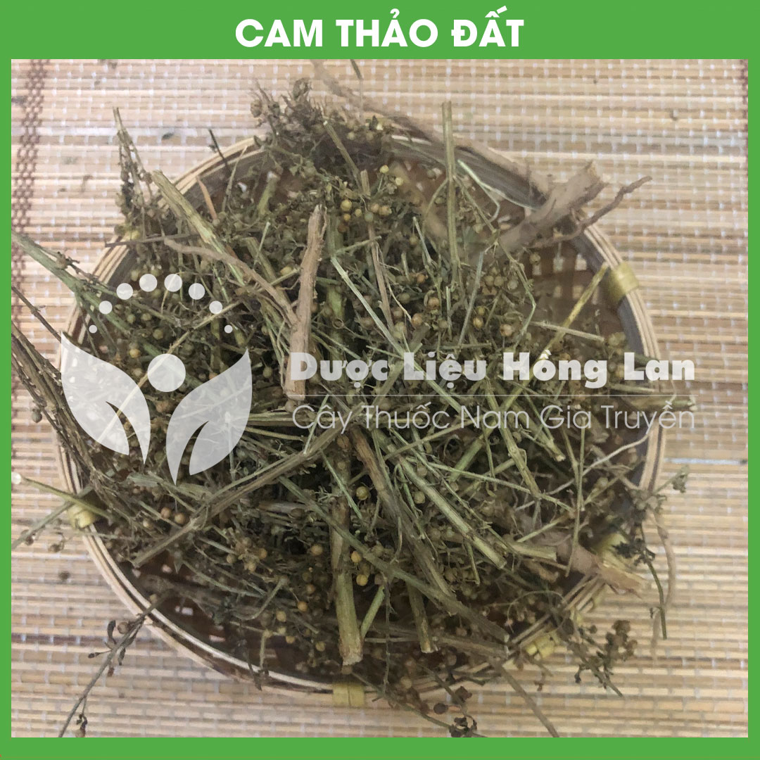 1kg Cam Thảo Nam (Cam Thảo Đất) khô sạch