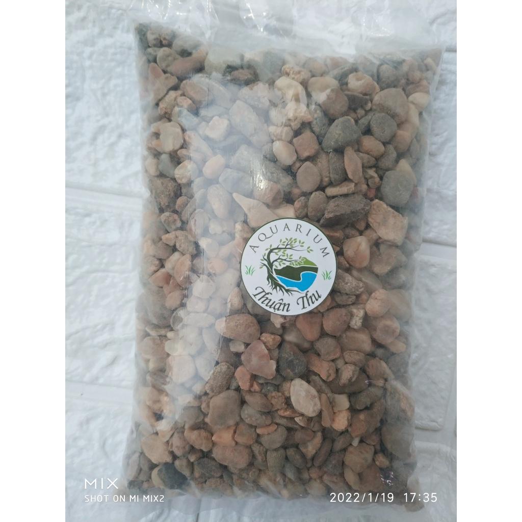 Sạn suối - sỏi suối trang trí bể cá, bể thủy sinh