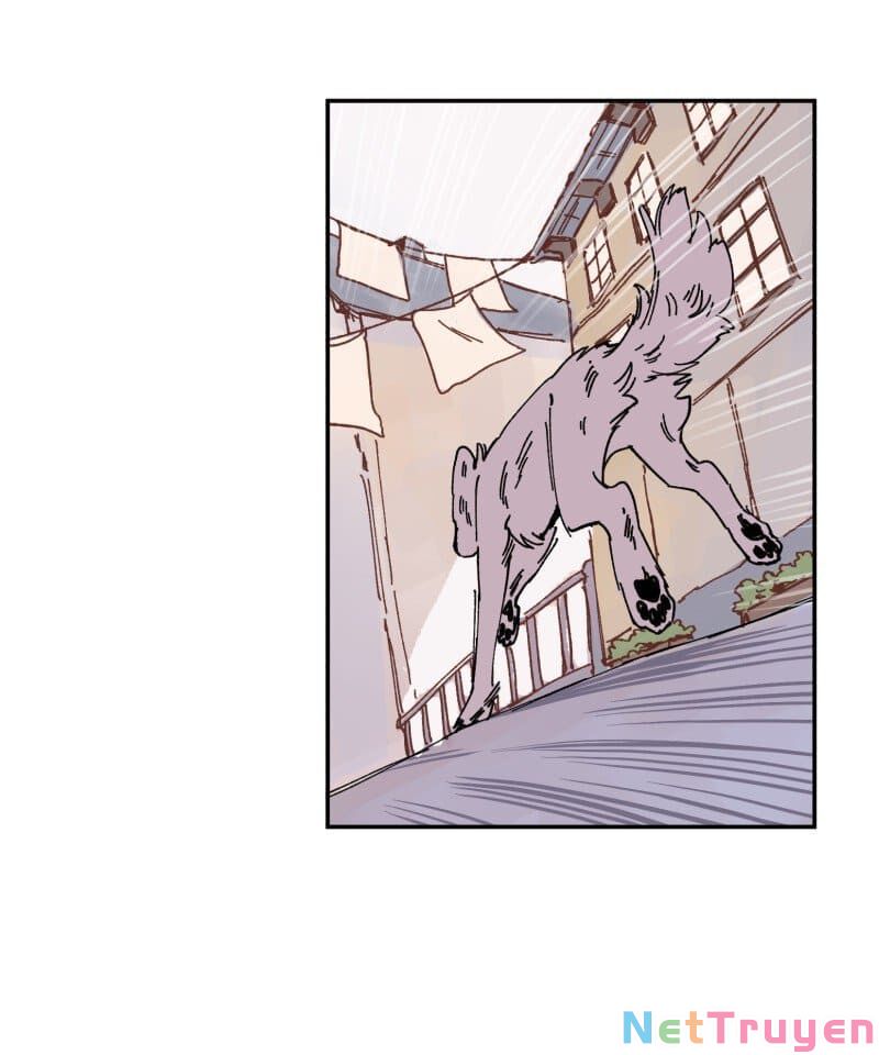 lumine - cội nguồn ánh sáng chapter 89 30