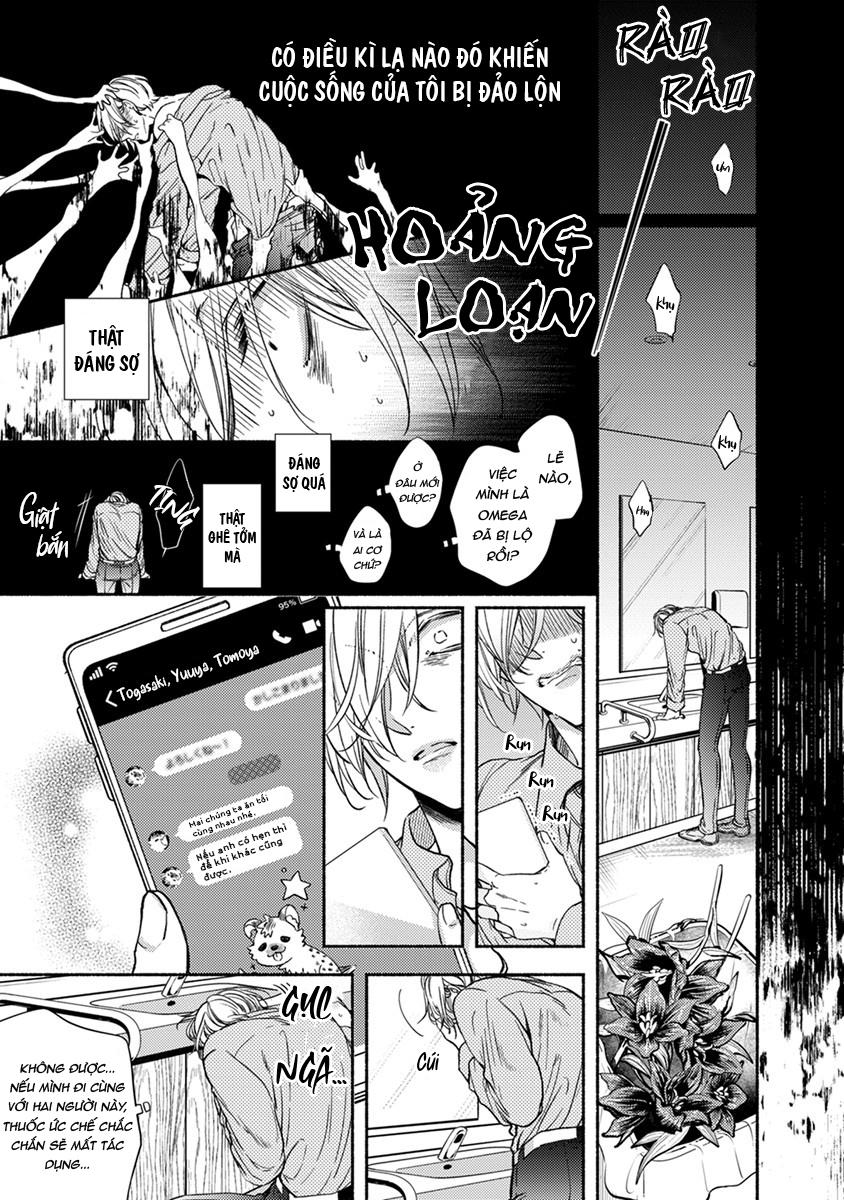 omega giả vờ kiên cường đó là bạn tình của tôi chapter 3 17