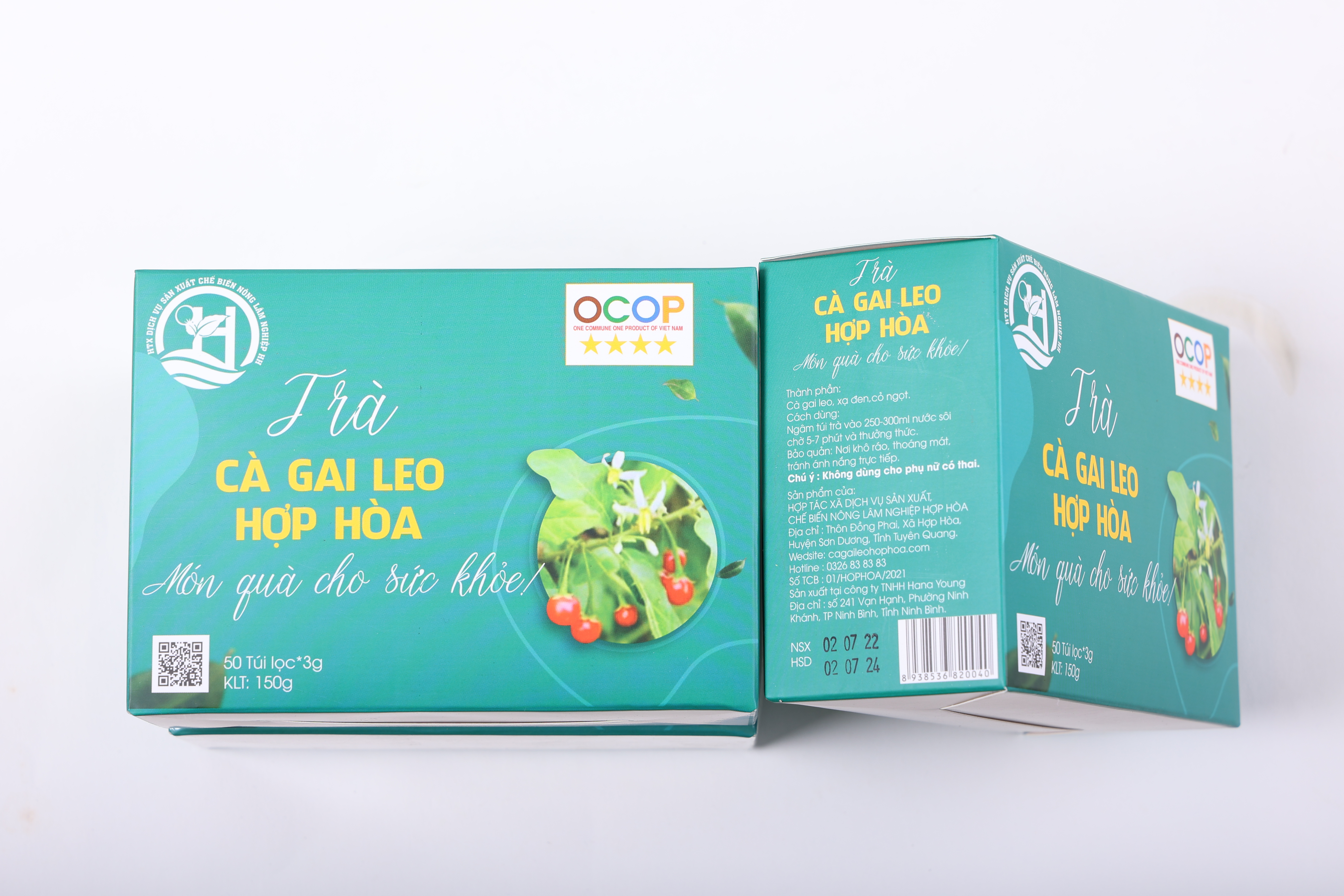Trà Cà Gai Leo Hợp Hòa - Cà gai leo+Xạ đen+Cỏ Ngọt - 50 túi lọc - OCOP 4 Sao