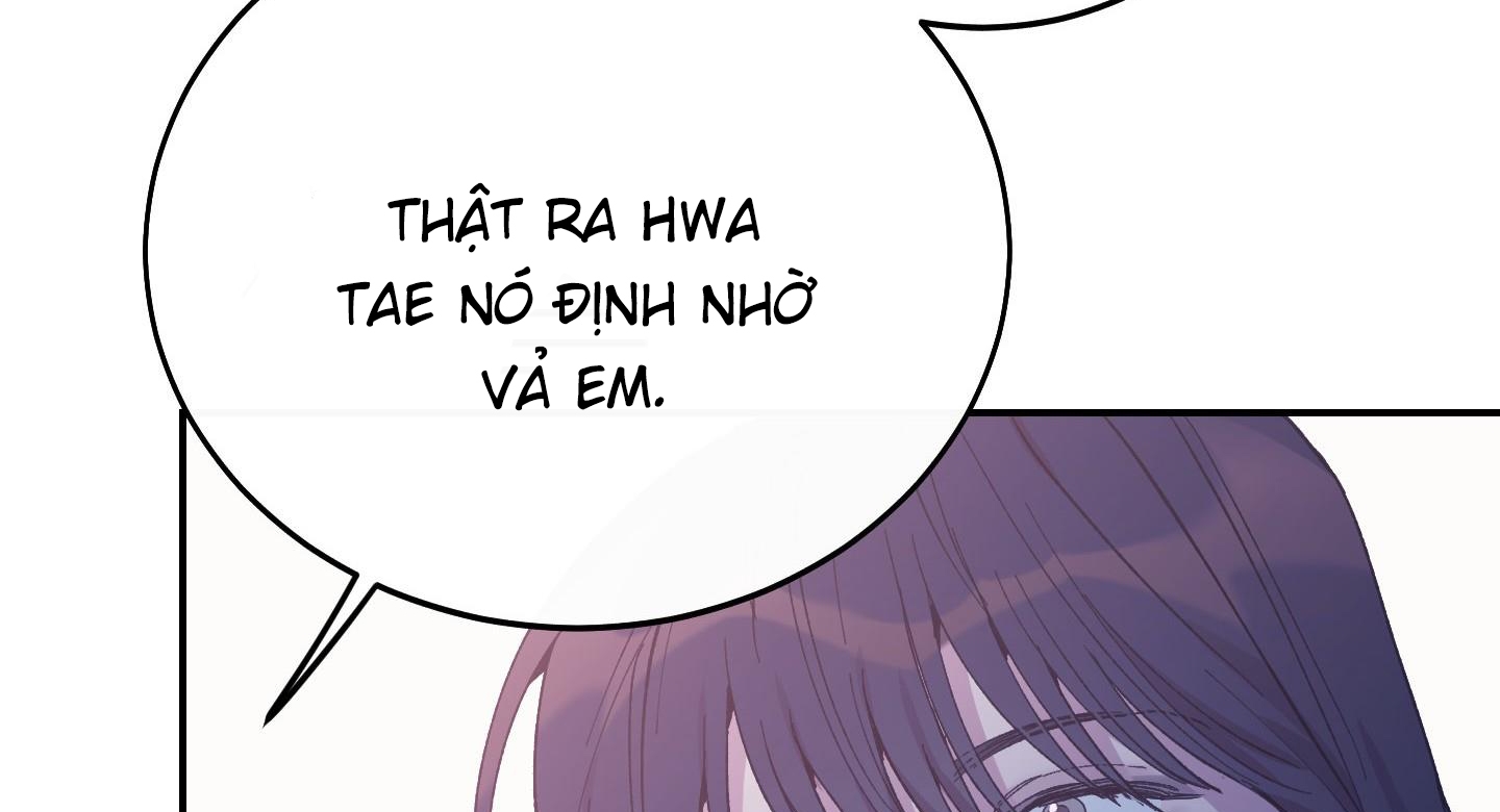 lãng mạn giả dối chapter 26 205