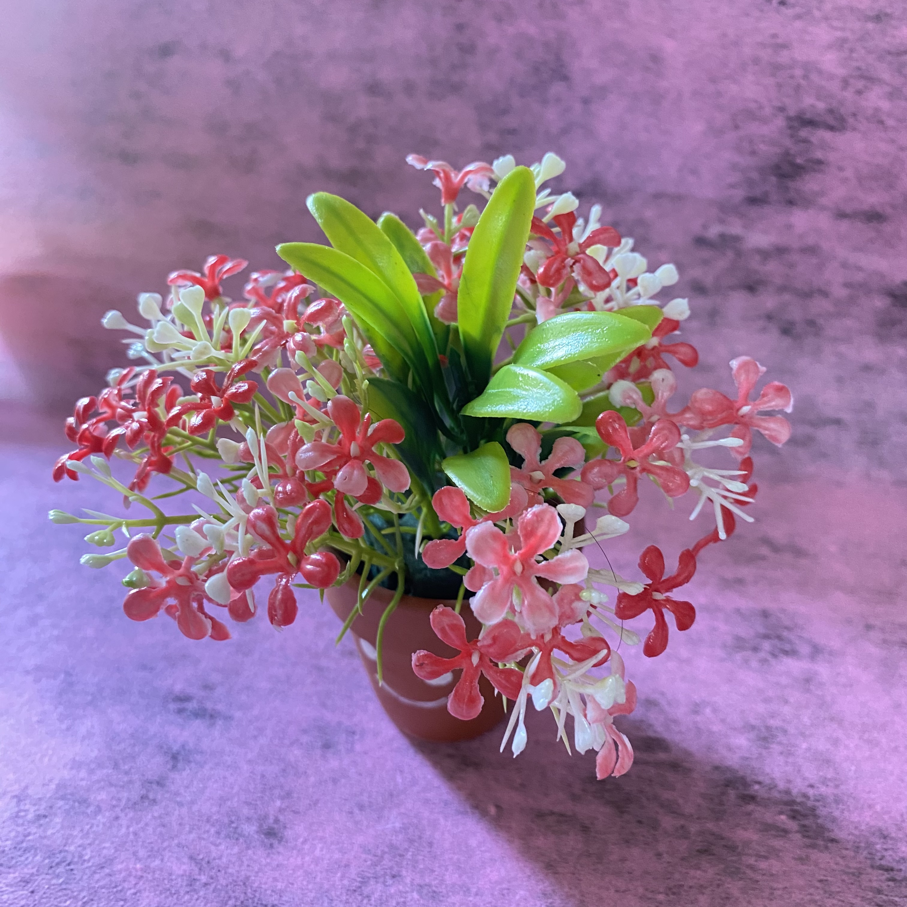 Chậu hoa handmade mini kèm chậu -8cm,12cm
