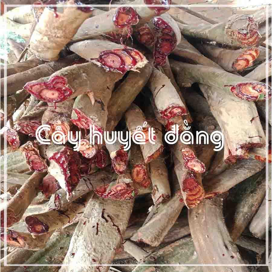 Cây Kê Huyết Đằng (Huyết Rồng) khô 500gram