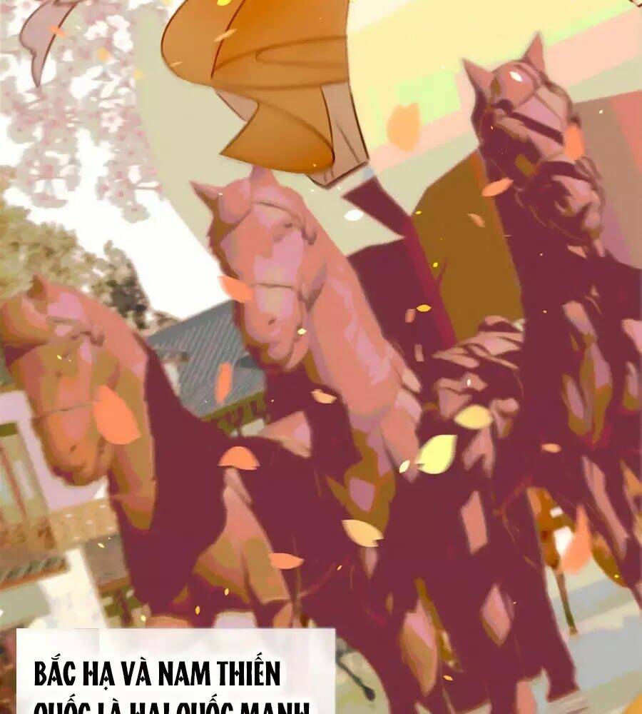 phượng hoàn triều: vương gia yêu nghiệt xin tránh đường chapter 28 39