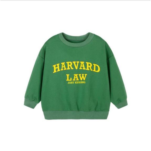 Áo sweater Harvar thời trang cho bé A576