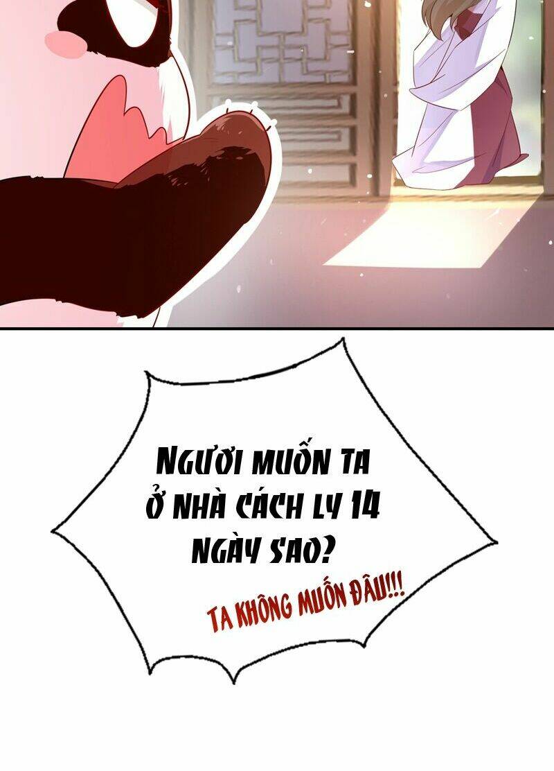 thiên thần gấu trúc muốn được ôm chapter 58 44