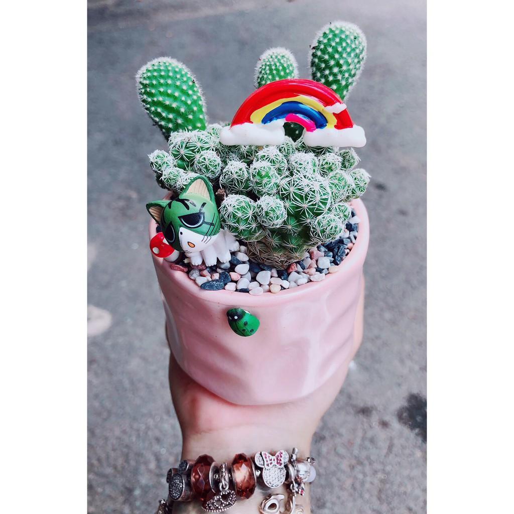 Sen đá mix tiểu cảnh 13