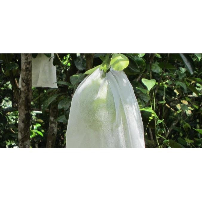 SET 200 TÚI BỌC BƯỞI 30*35 SIZE ĐẠI TIỆN DỤNG CHẤT LIỆU VẢI KHÔNG DỆT