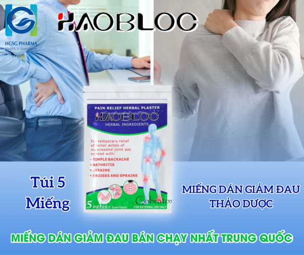 Miếng dán giảm đau thảo dược HGSG pharma HAOBLOC gói 5 miếng