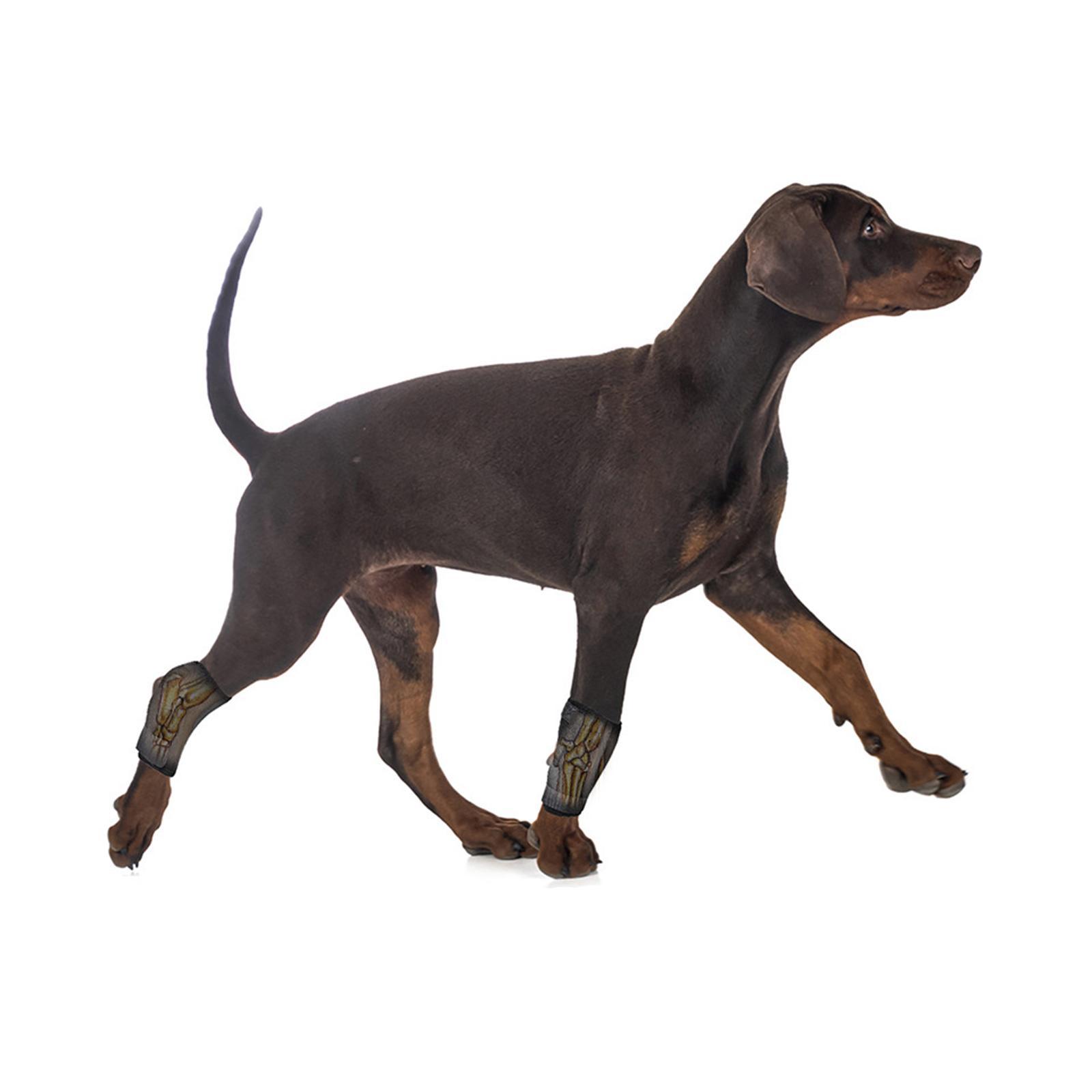 Dog Leg Brace Support Hock Joint Sleeve for Loss of Stability from
