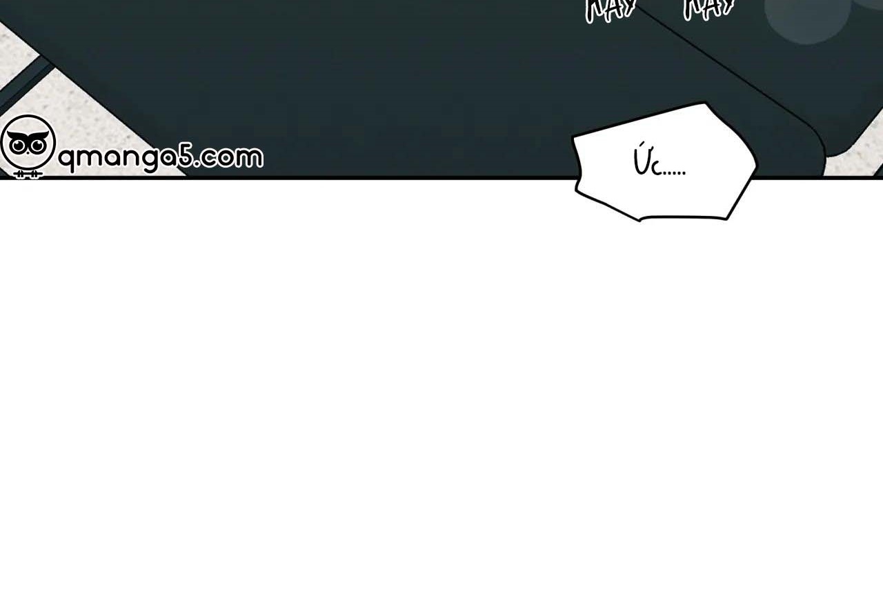 ám ảnh pheromone chapter 55 75