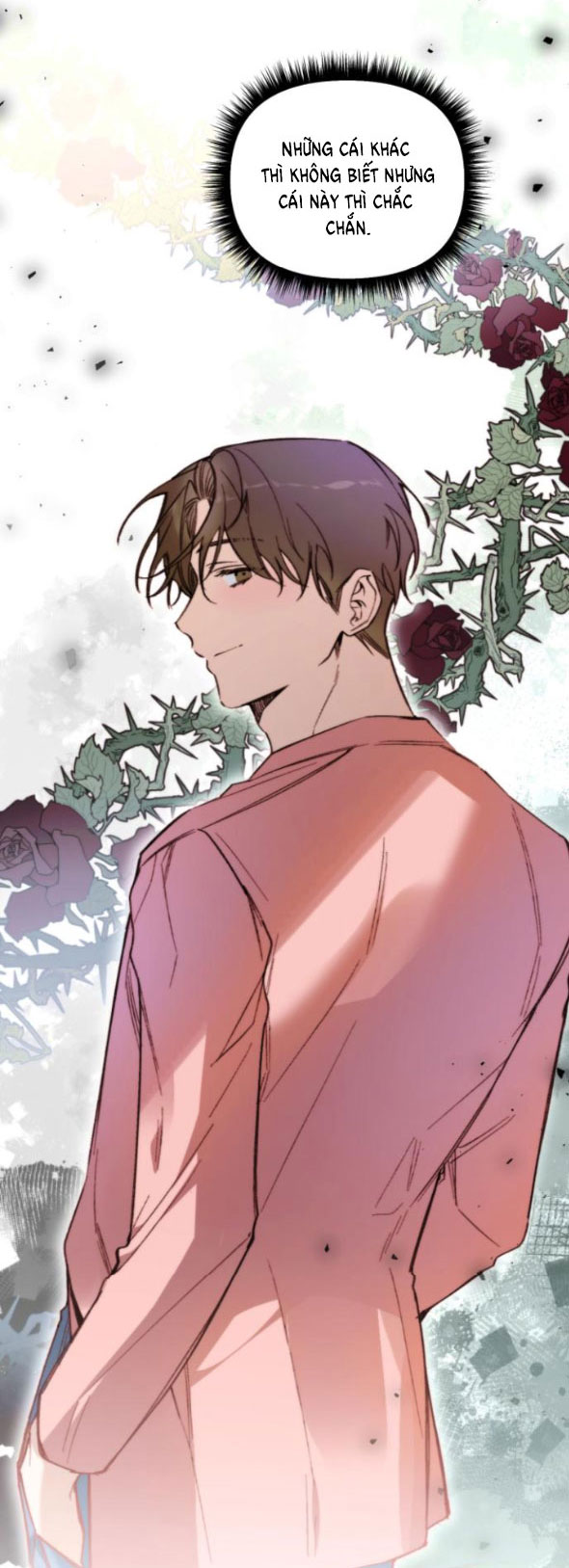 LY HÔN THÌ DỄ, YÊU ĐƯƠNG MỚI KHÓ chapter 26.2 - Trang 19