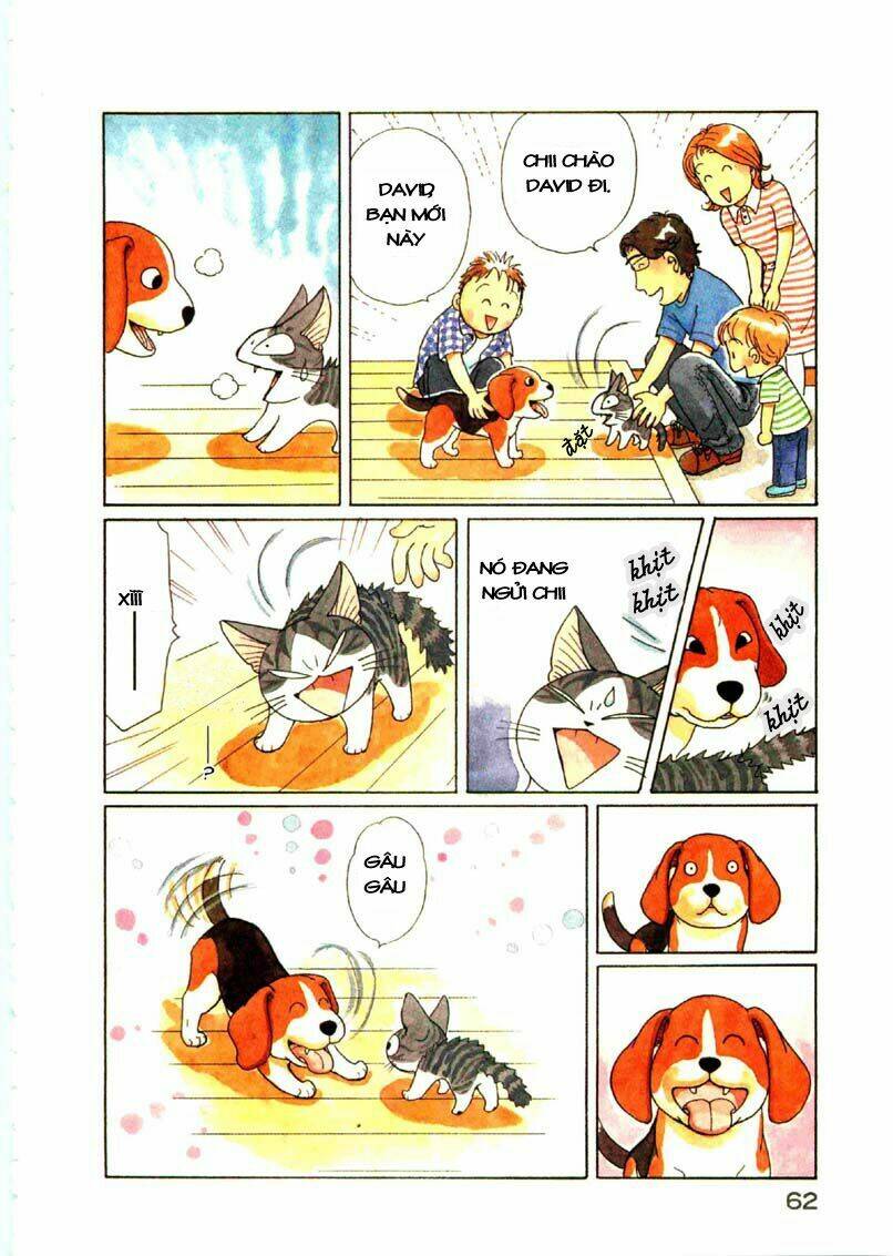 chi's sweet home chapter 64 5