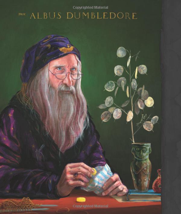 Sách Harry Potter: A History Of Magic (Hardback) Lịch sử ma thuật (English Book)