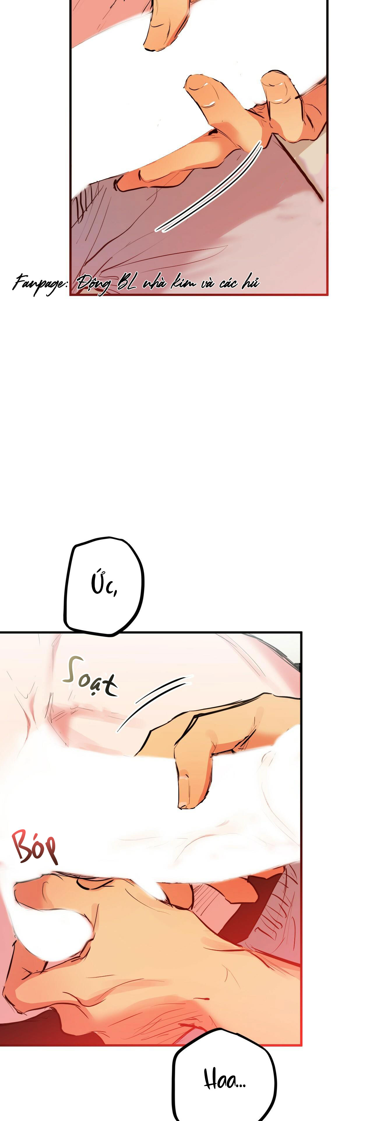 những chú thỏ của hapypy chapter 29 14