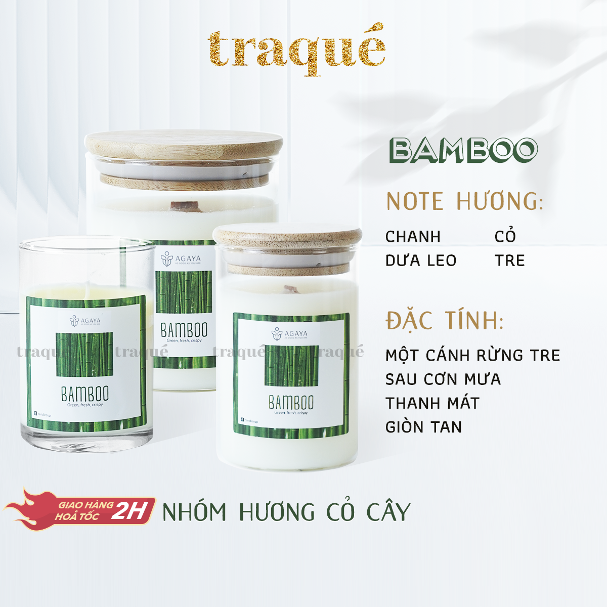 Nến thơm tinh dầu cao cấp không khói an toàn Candle Cup - BAMBOO/HƯƠNG TRE - M - 200G (CÓ NẮP)